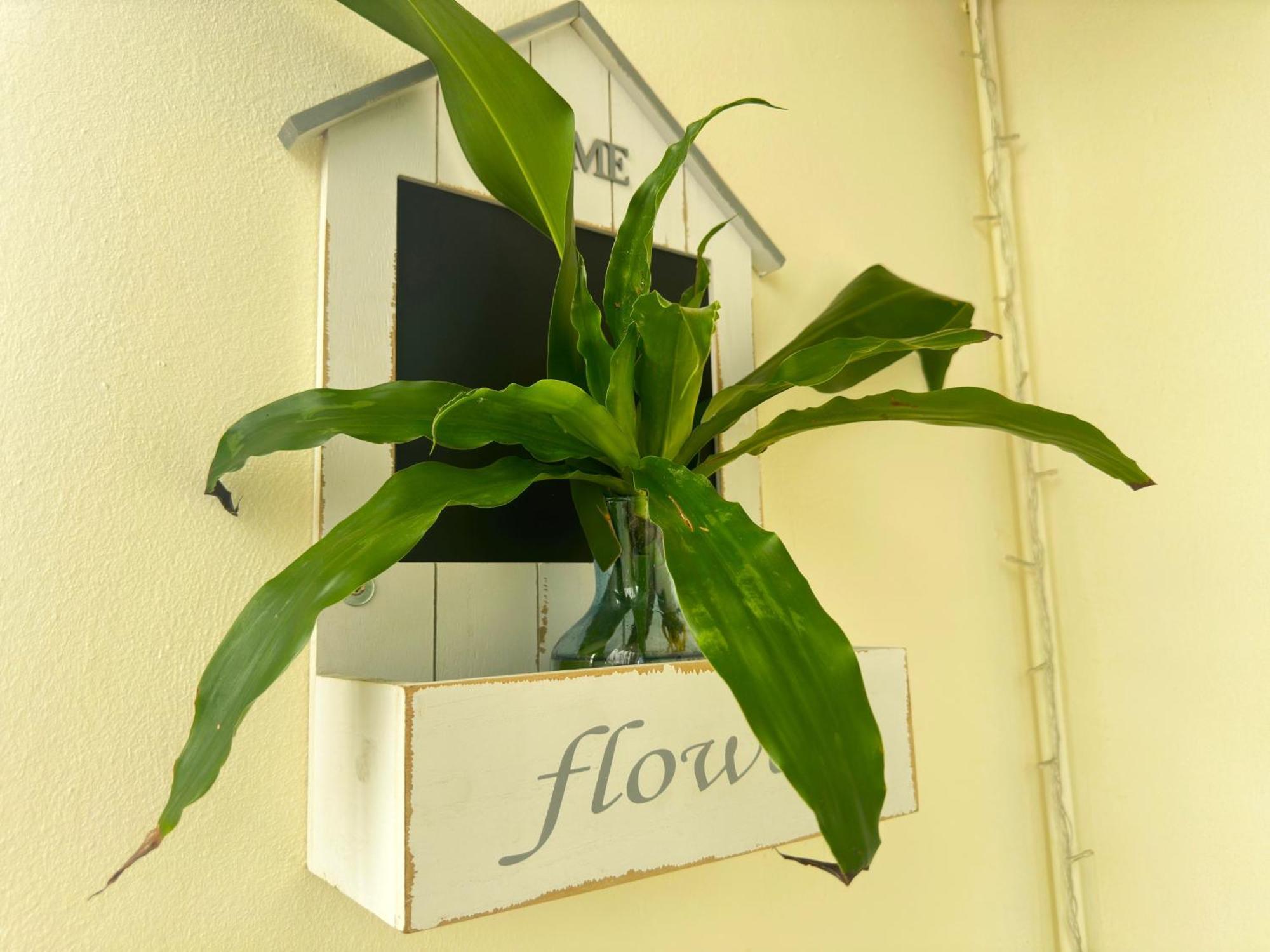 Le Point Choisy Appartement Pointe aux Canonniers