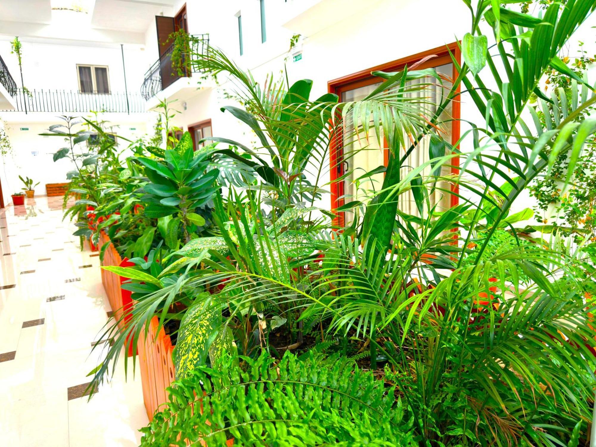 Appartement Le Point Choisy