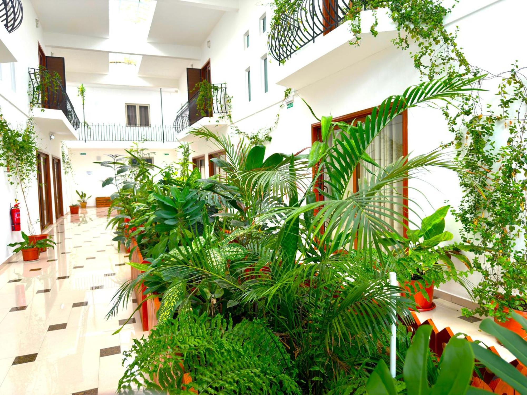 Appartement Le Point Choisy Pointe aux Canonniers